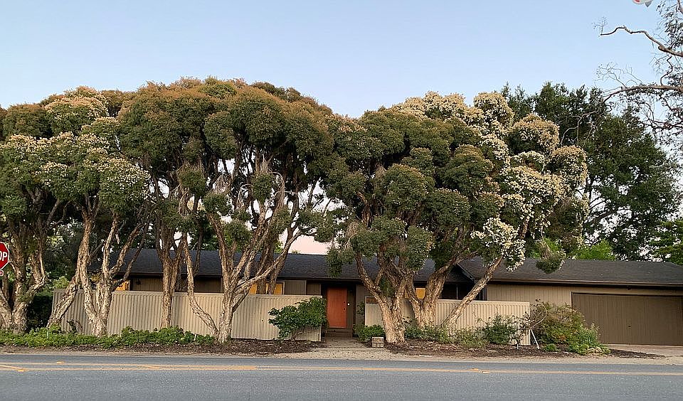 2nd image of 625 Maybell Ave