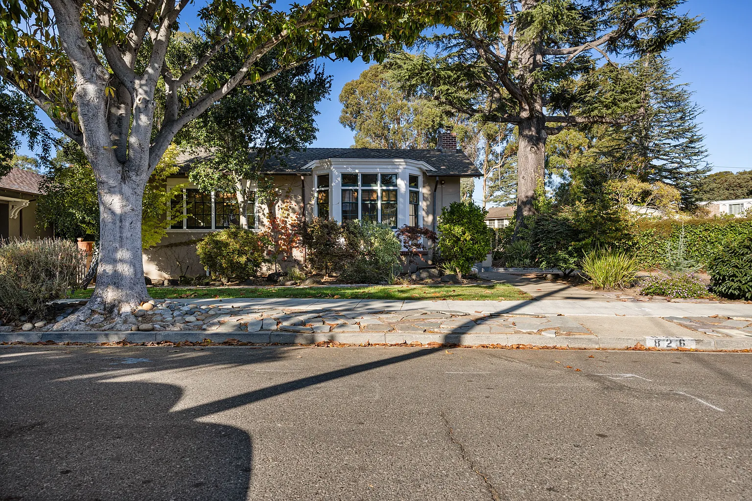 826 Walnut Ave photo 1