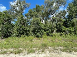 NE 91st Ct, Archer, FL 32618