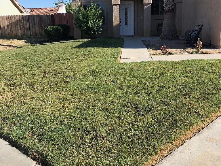1156 Burroughs Ct — Photo 1