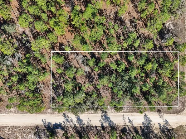 0 SE 2nd St Lot 6, Williston, FL 32696
