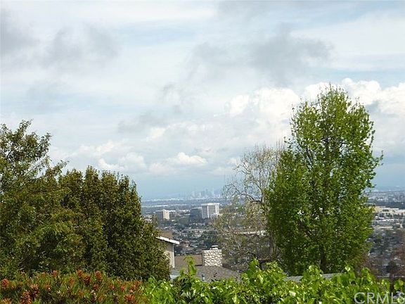View from patio. Downtown LA in the distance.