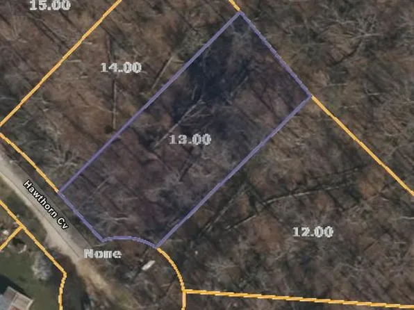 Id13 Hawthorn Cv, Holladay, TN 38341