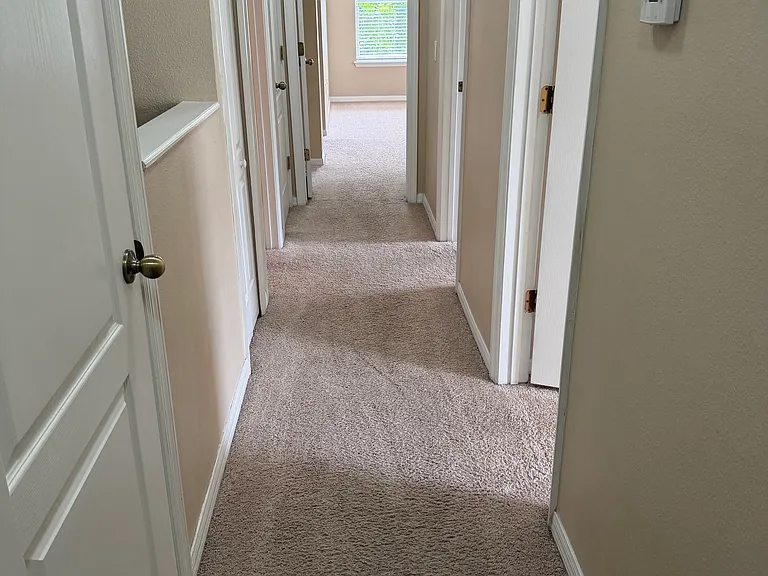 3953 Pemberly Pines Cir — Photo 22
