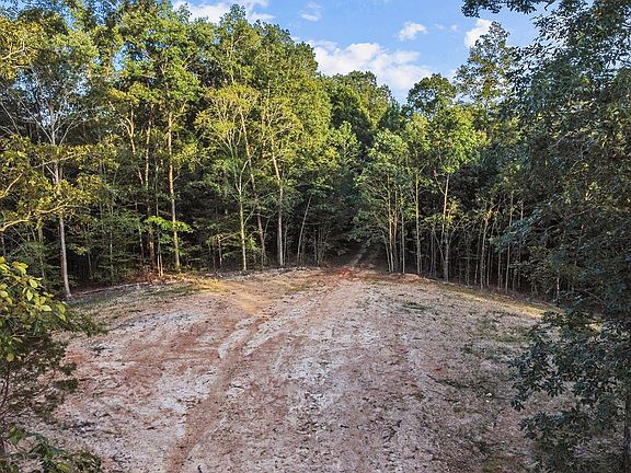 3rd image of 0 Highway 49 E Tract 5