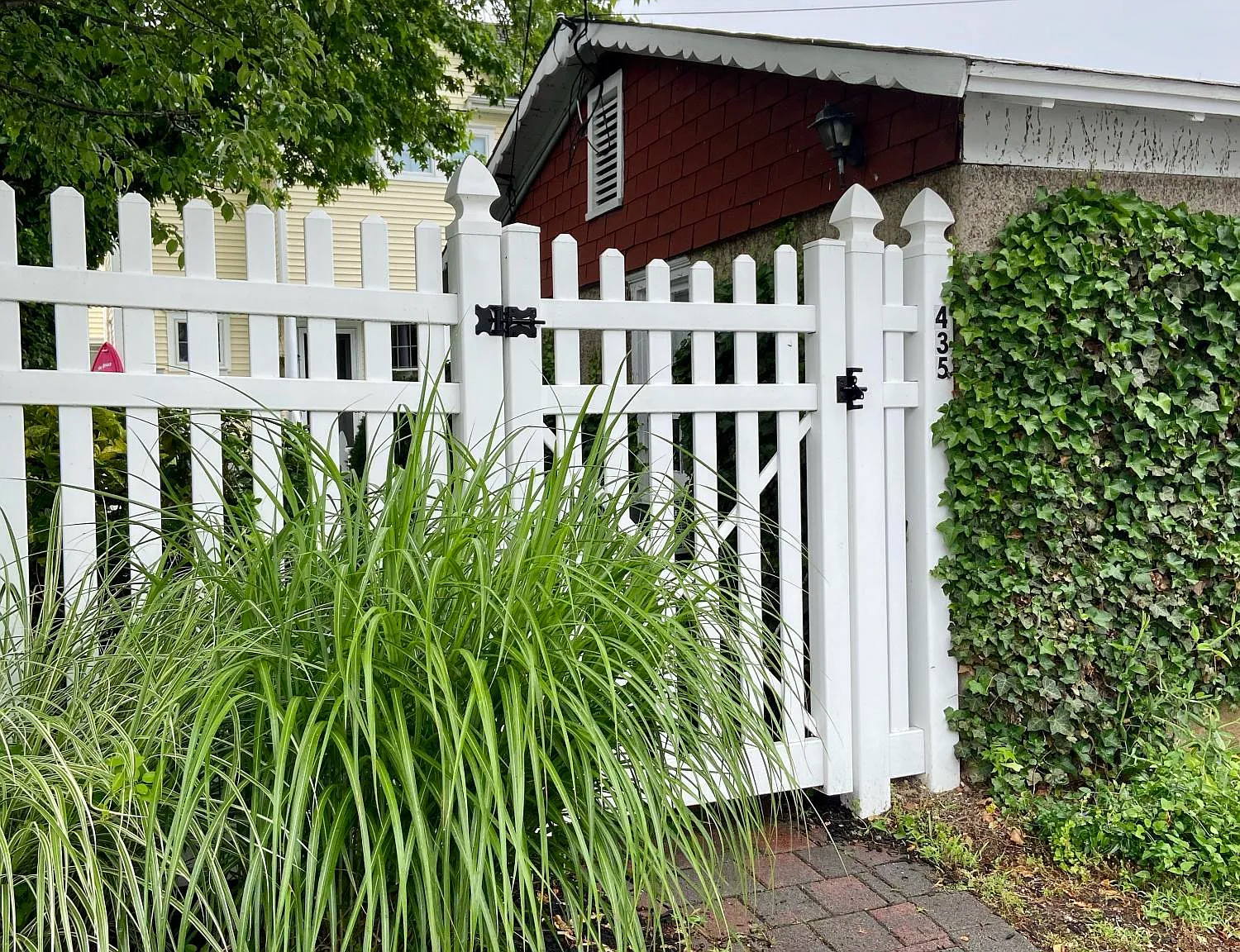1 bed, $750 — Photo 4