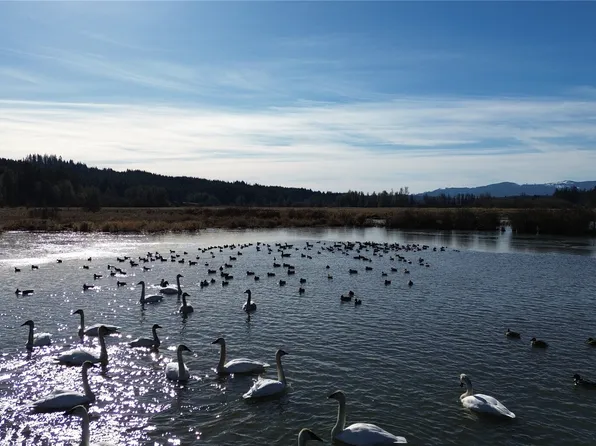 0 105.33 Lincoln Creek Road, Rochester, WA 98579