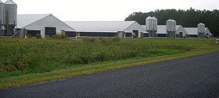 Poultry Farm