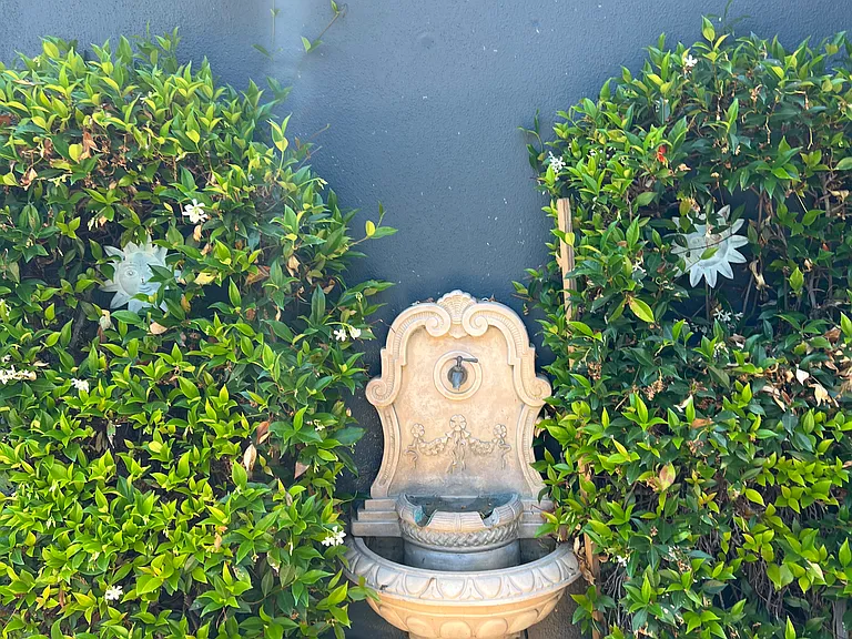 Backyard fountain