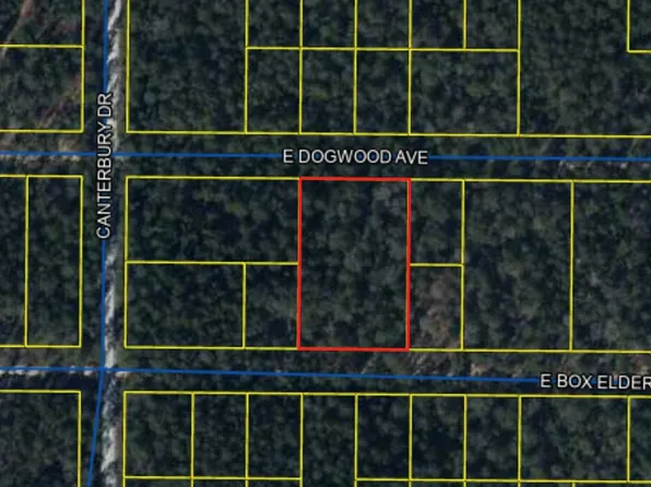 21-22 29 #30, Defuniak Springs, FL 32433
