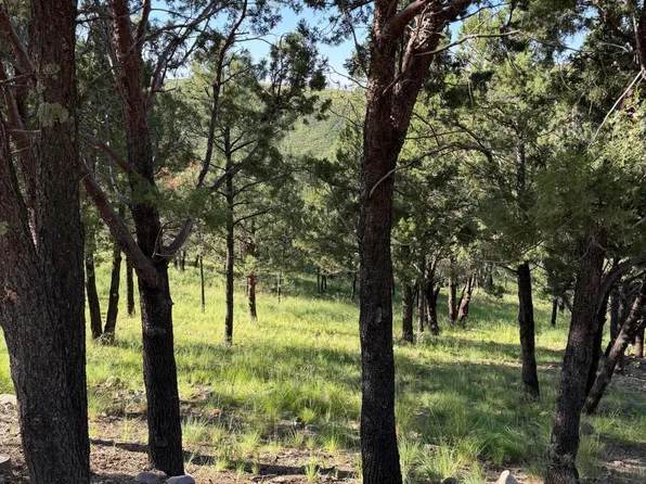 198 Crown Ridge Rd, Alto, NM 88312