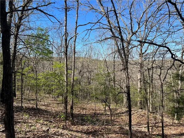 12712 View Dr #4, Omaha, AR 72662