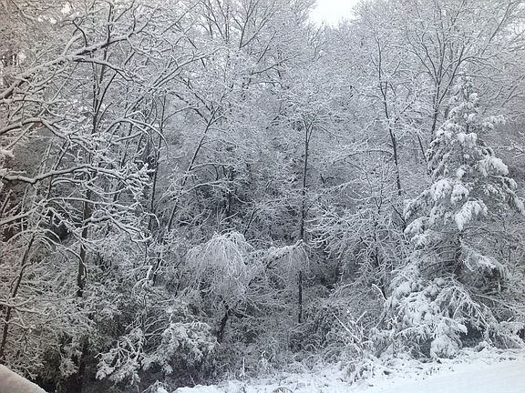 First snow 