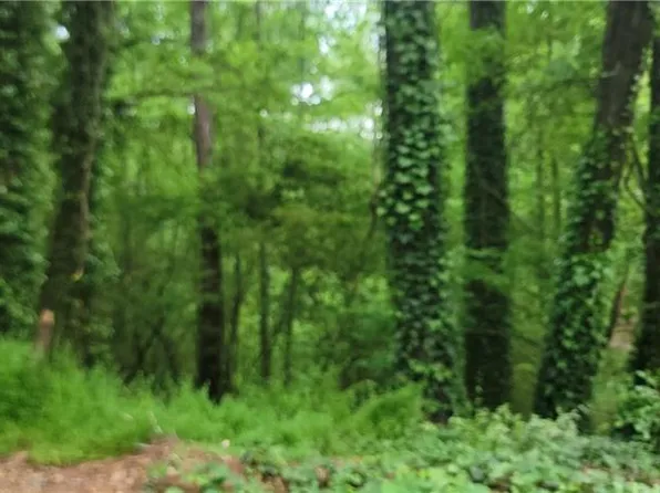 0 Shadowbrook Dr, Marietta, GA 30062