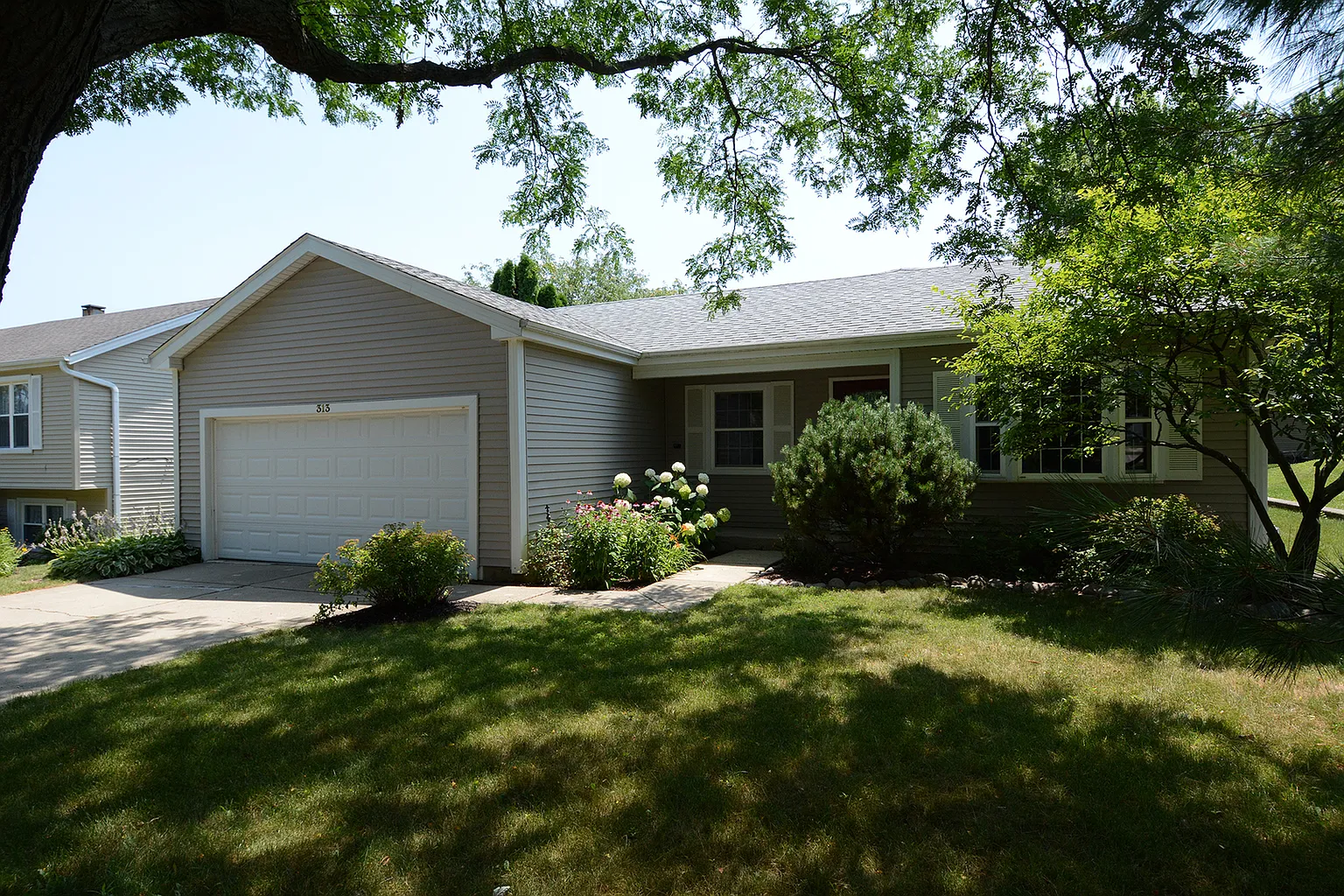 313 Exmoor Dr photo 1
