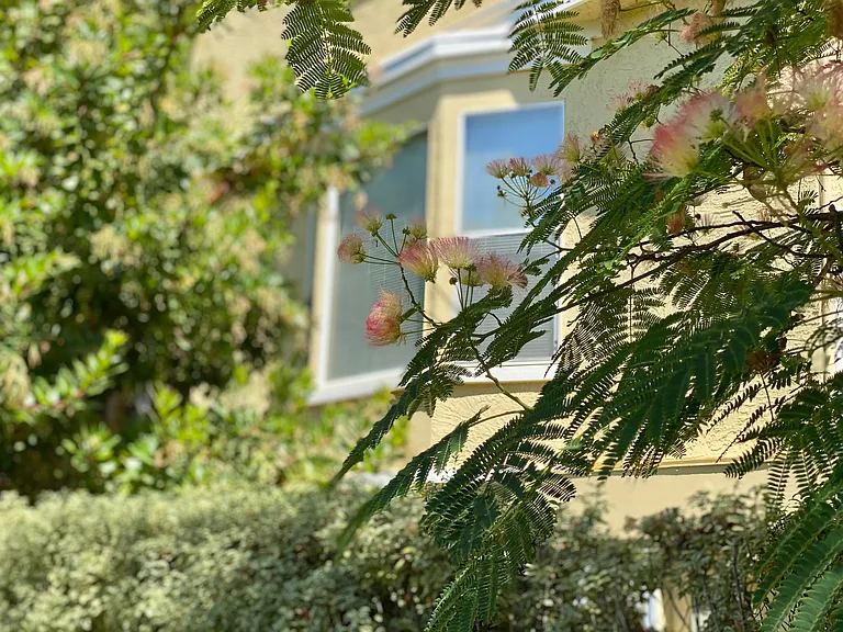 862 Nobel Dr — Photo 12