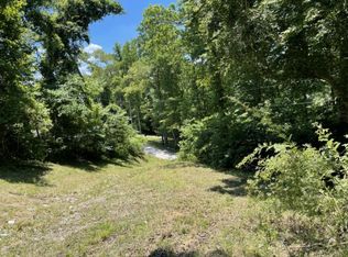 Swan Seymour Rd, Maynardville, TN 37807