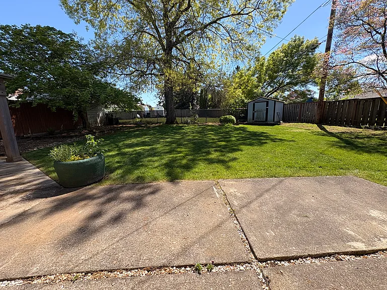 Backyard