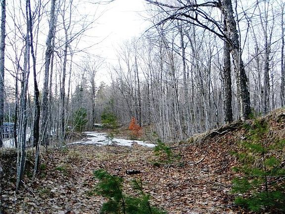 4th image of ON Pixley Wilderness Shrs