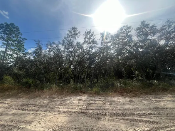 (undisclosed Address), Homosassa, FL 34446