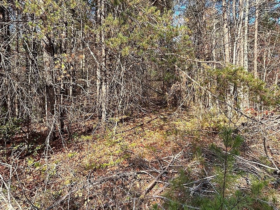 2nd image of Bear Tail Cir