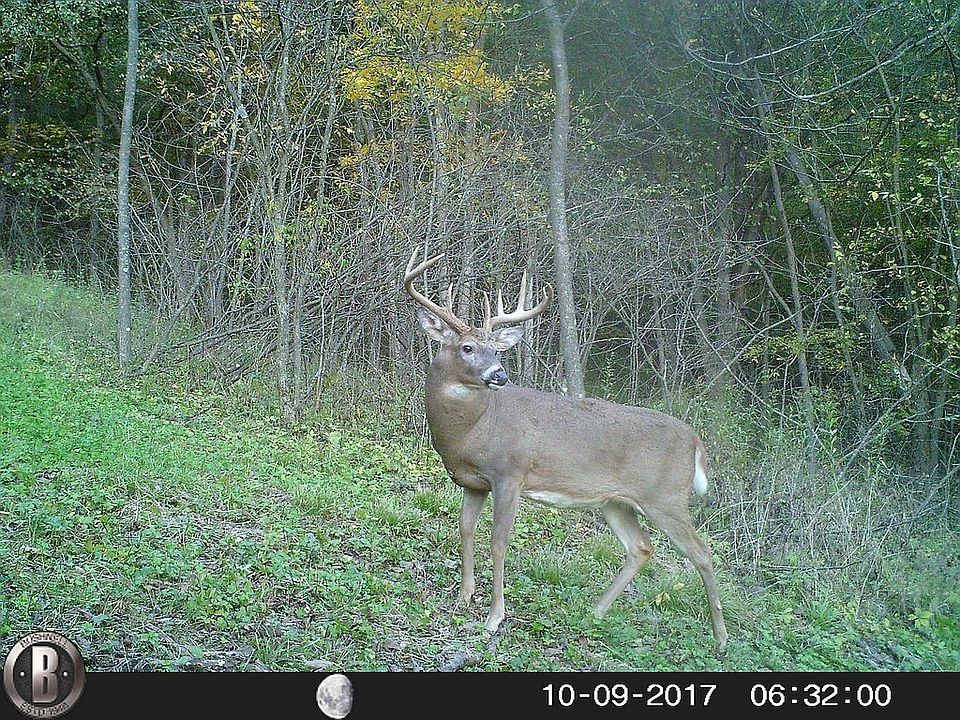1st image of E14168 State Highway 33