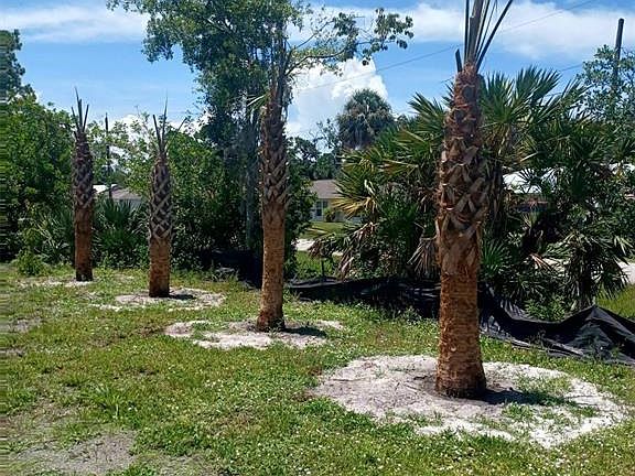 3rd image of Lin Gina Ter #25