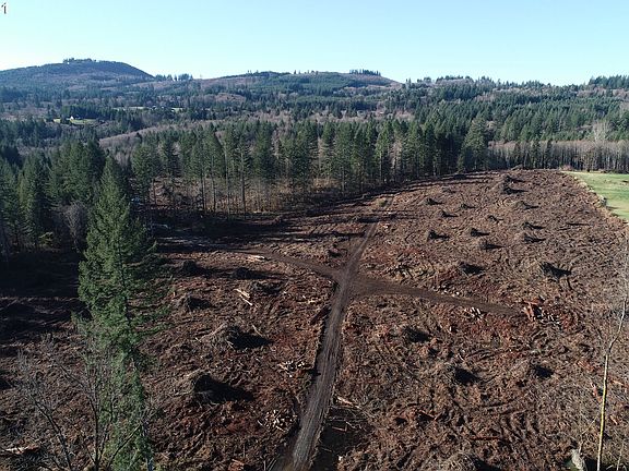 2nd image of 0 NE 354th St