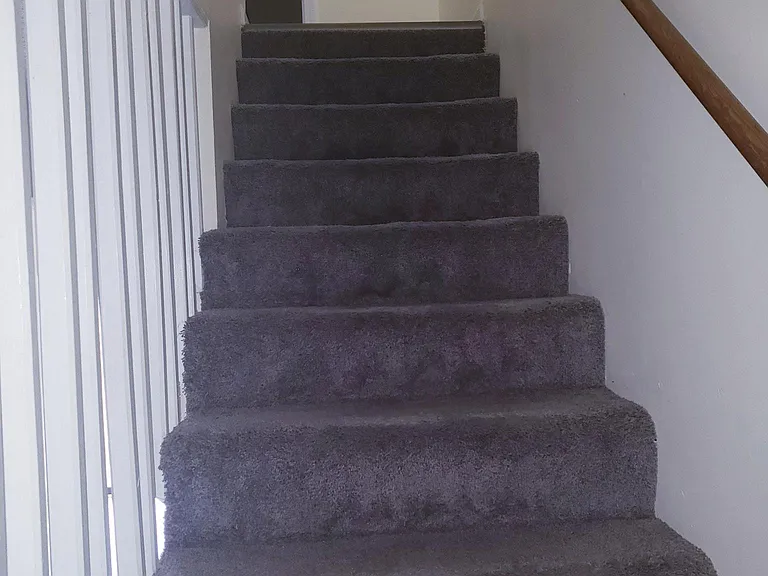 251 Shelby Ave — Photo 9