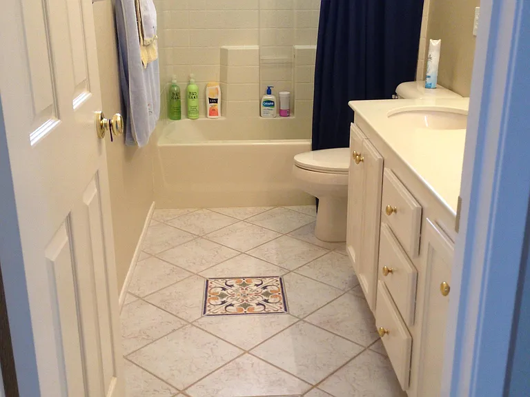12046 Windom Peak Way — Photo 12