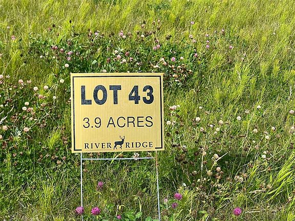 3rd image of 43 River Ridge Ests