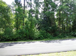 46 Canvasback Point, Hampstead, NC 28443