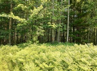 LOT 3 Happy Rd, Beaverton, MI 48612