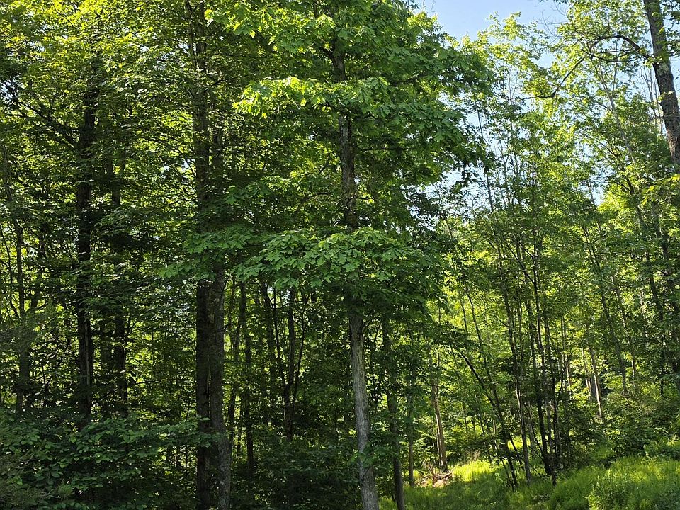 1st image of Dip Hollow Ln