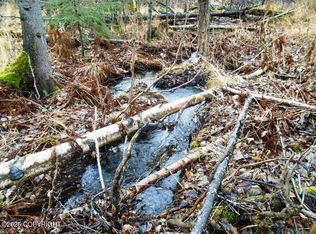 LOT 102 NW Loc Sault Ave, Anchorage, AK 99516