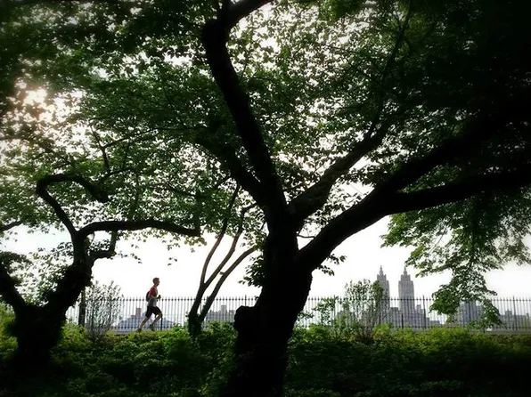 58 West 105th Street image 13 of 14