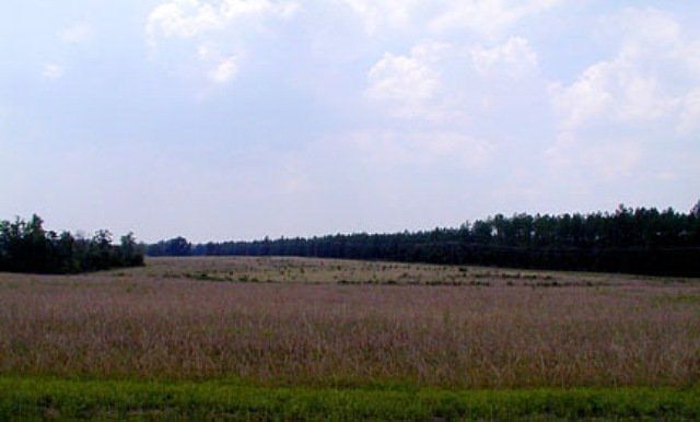 1st image of tbd Horace Walters Road LOT 1