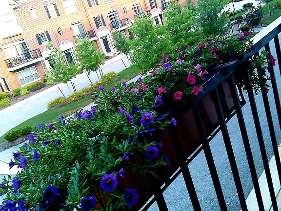 View from front balcony.