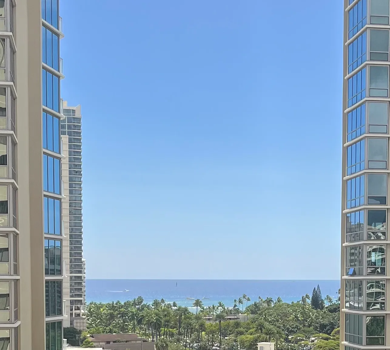 1 bed, 553 sqft, $2,800 — Photo 1