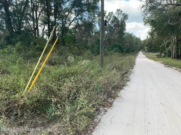 0 County Road 337 Rd, Bell, FL 32619