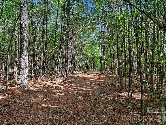 5th image of 2223 Camp Creek Rd