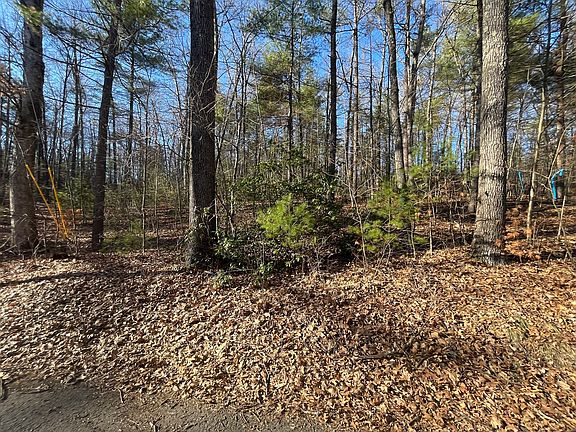 4th image of 1005 Park Hill Rd