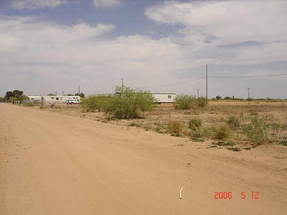 3rd image of 0 W Candy Cactus -- #C-2