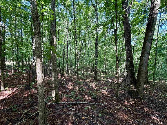 4th image of 1721 County Road 823