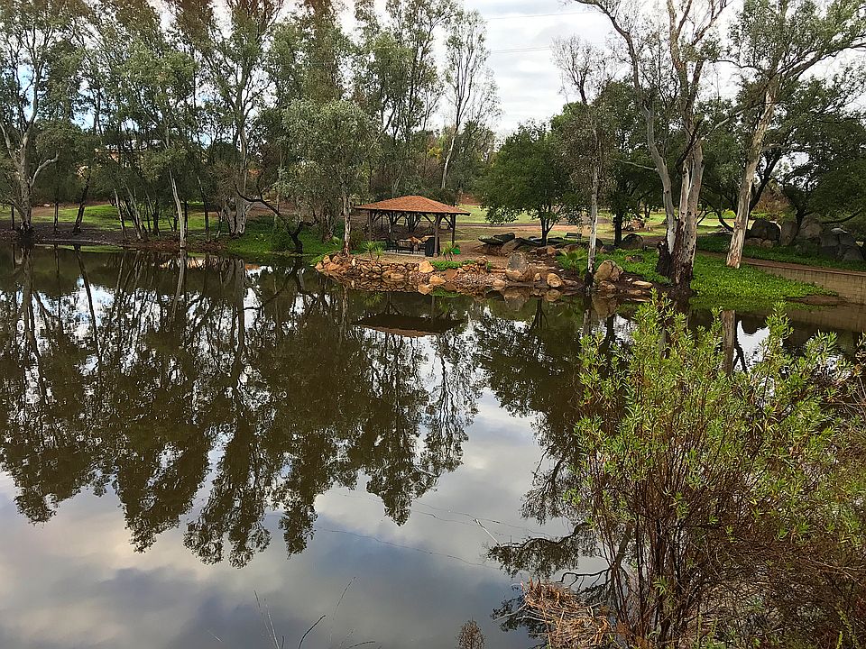 1 Acre Pond