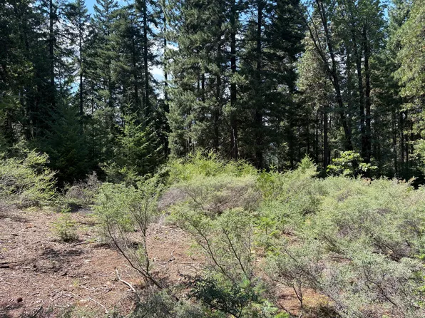 W Castle St, Mount Shasta, CA 96067