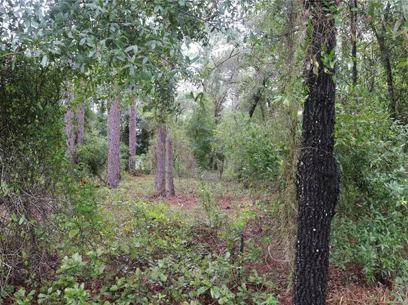 0 NW Buena Vista Rd #5, Dunnellon, FL 34431