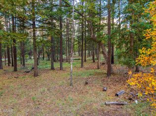 0 County Road 2196, Alpine, AZ 85920