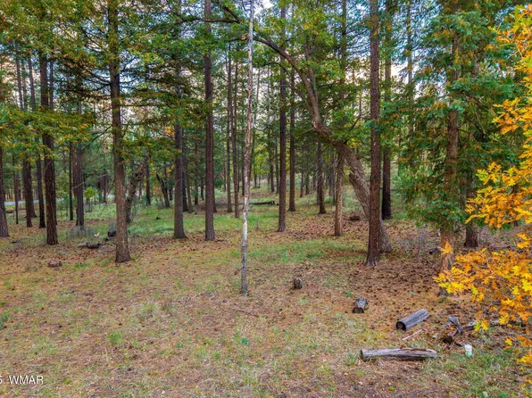 0 County Road 2196, Alpine, AZ 85920