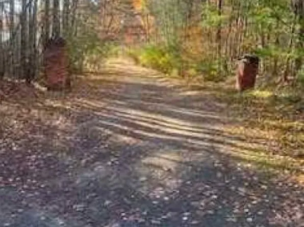 1411 Pinnacle Rd, Greenwood, NY 14839